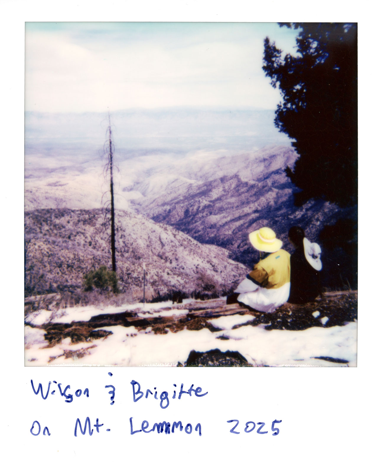 Wilson and Brigitte on Mt. Lemmon, AZ